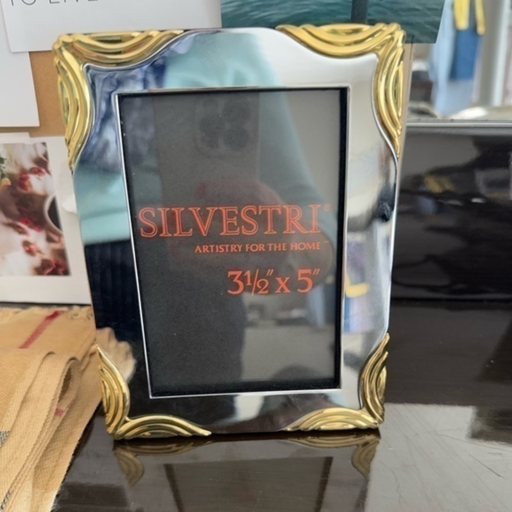 Silvestri 3.5” x 5” Picture Frame – Silver & Gold Ornate Design